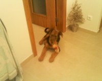 /album/galeria-de-fotos/foto-052-jpg1/